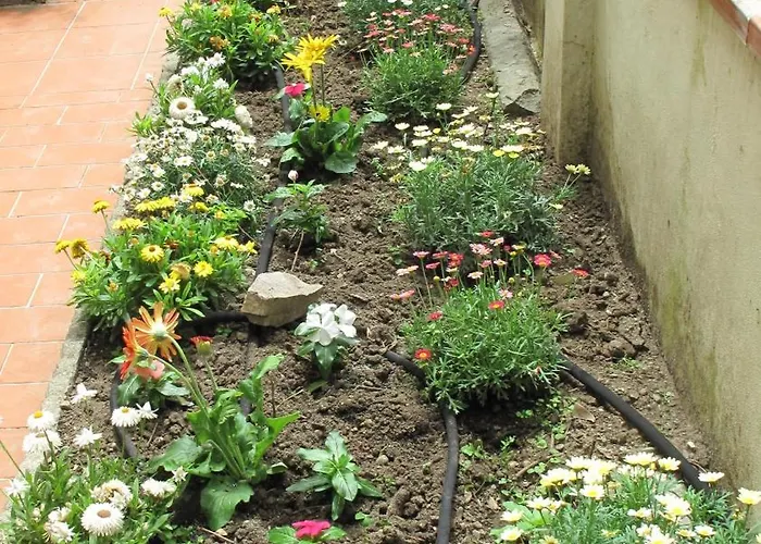 Apartment Le Petit Jardin Center