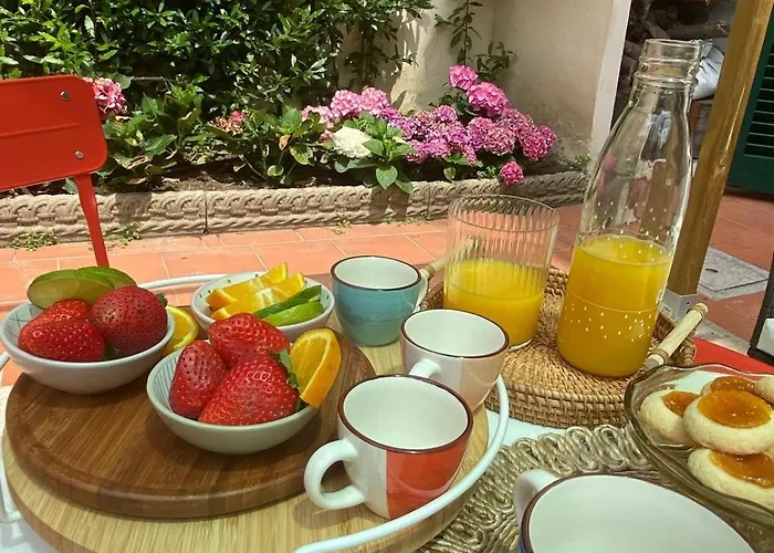 Le Petit Jardin Center * Florenz