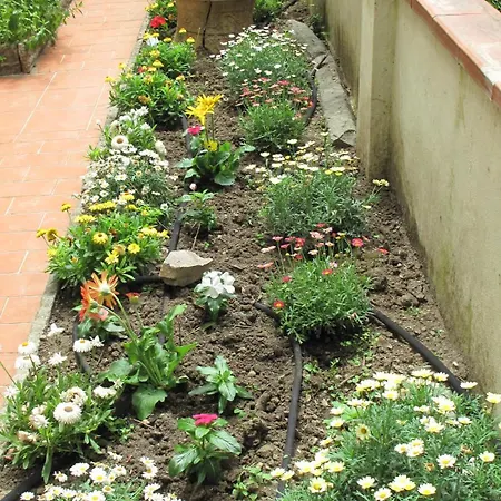 Апартаменты Le Petit Jardin Center
