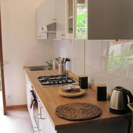 Le Petit Jardin Center Апартаменты *